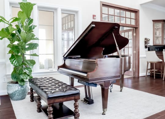 a piano in a living room with a potted plant at Broadlands Apartments in Ashburn
